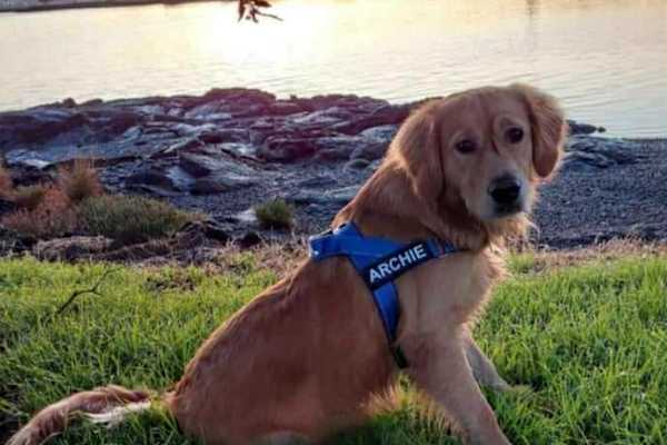 Auckland, Auckland, New Zealand