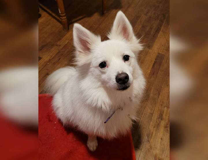 Salles, Nouvelle-Aquitaine, France