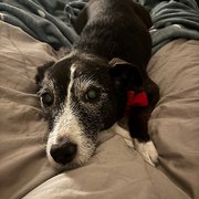 Glenavy, Lisburn And Castlereagh, Northern Ireland, UK