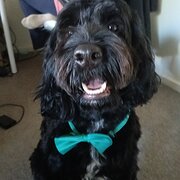 Franklin, Australian Capital Territory, Australia