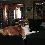 Primrose Sands, Tasmania, Australia