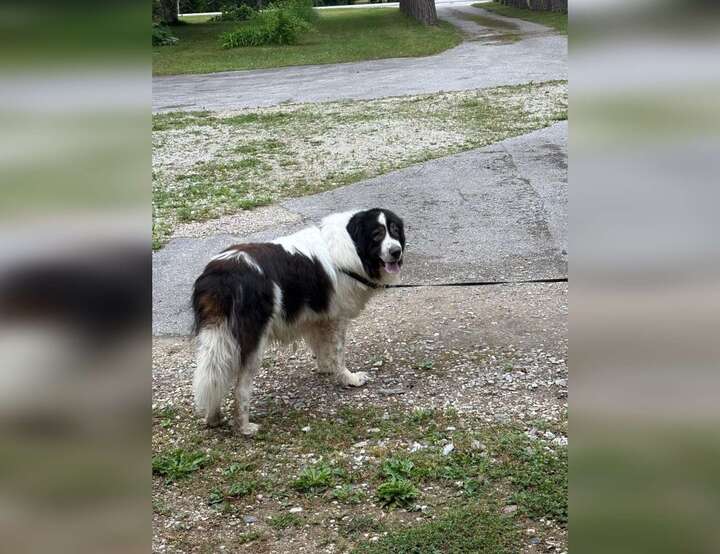 Newmarket, Ontario, Canada