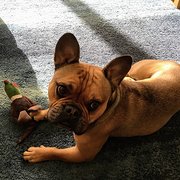 Aberavon, port Talbot, Wales, UK