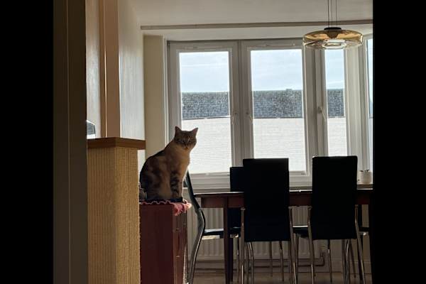 Edinburgh, Scotland, United Kingdom