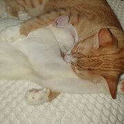 Marlow Lagoon, Northern Territory, Australia