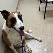 Alice Springs, Northern Territory, Australia