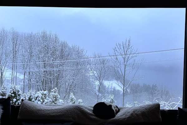 Ålesund, More og Romsdal, Norway