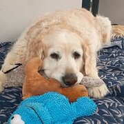 Monash, Australian Capital Territory, Australia