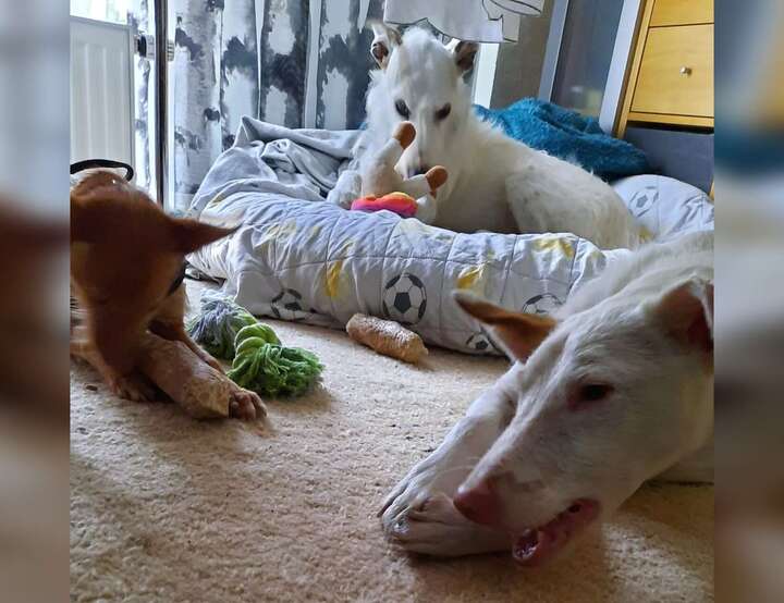 Schindeldorf, Stromberg, Rheinland-Pfalz, Germany