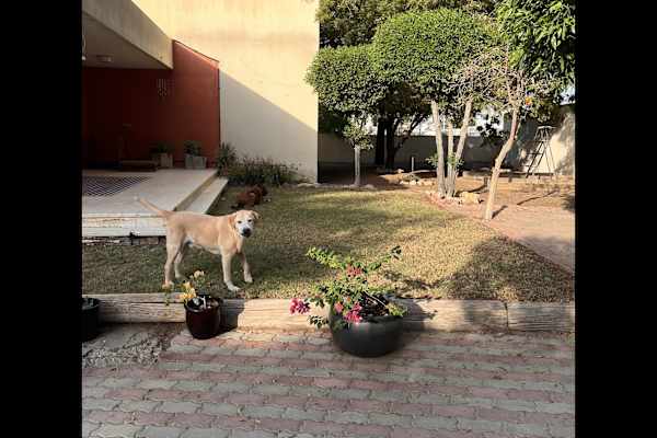 Muscat, Muhafazat Masqat, Oman