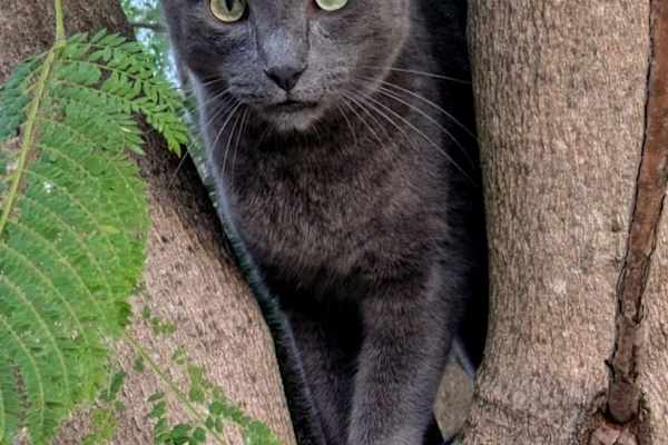 Murviel-lès-Béziers, Occitania, France