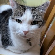 Edinburgh, Scotland, UK