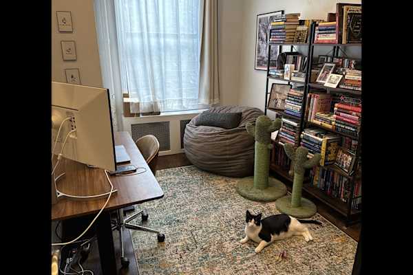 New York City, New York, United States