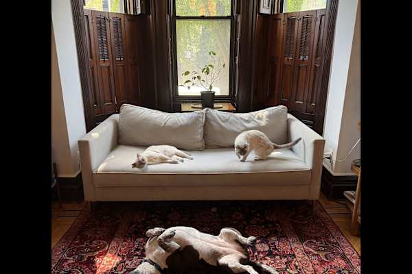 Brooklyn, New York, United States