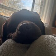 Isabella Plains, Australian Capital Territory, Australia