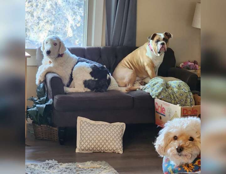 Burnsville, Minnesota, United States