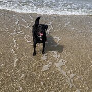 Rose Bay, Tasmania, Australia