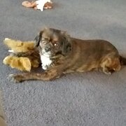 Sulphur Creek, Tasmania, Australia