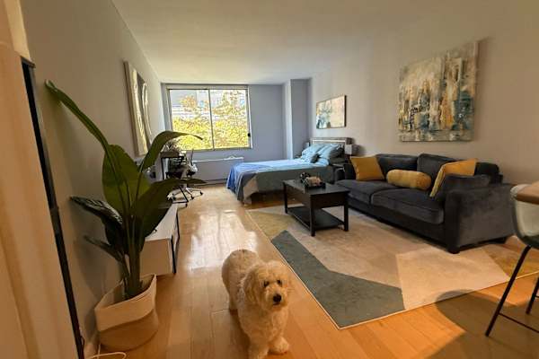 New York City, New York, United States