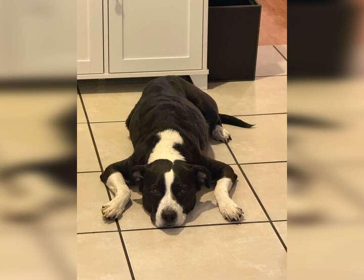 Monrovia, California, United States