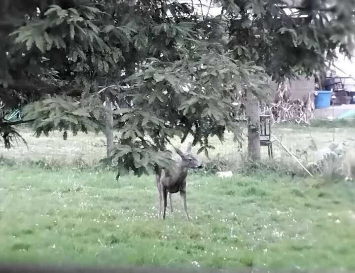 Eureka, California, United States