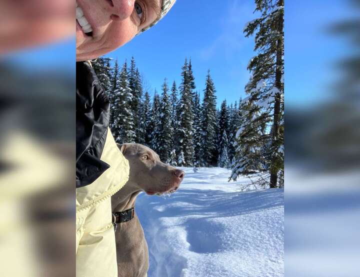 Fort Collins, Colorado, United States