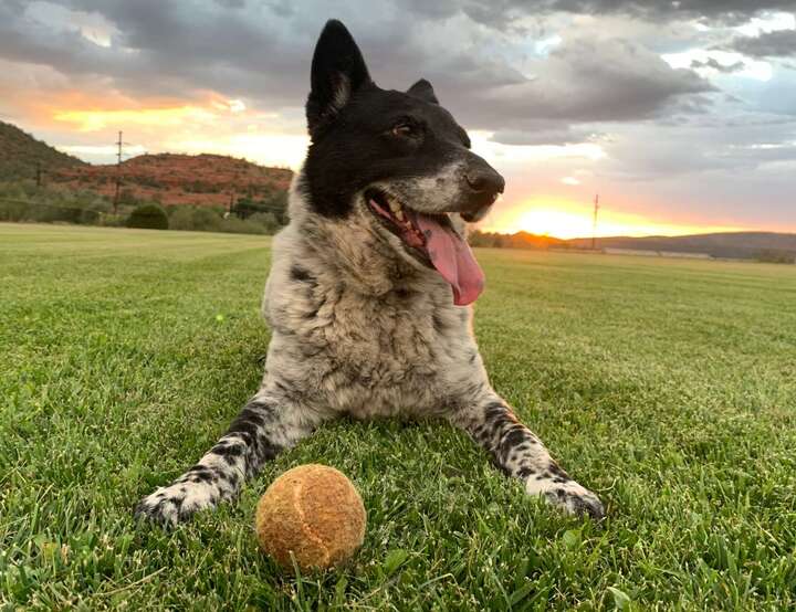 Sandy, Utah, United States