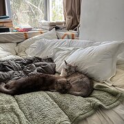 Braddon, Australian Capital Territory, Australia