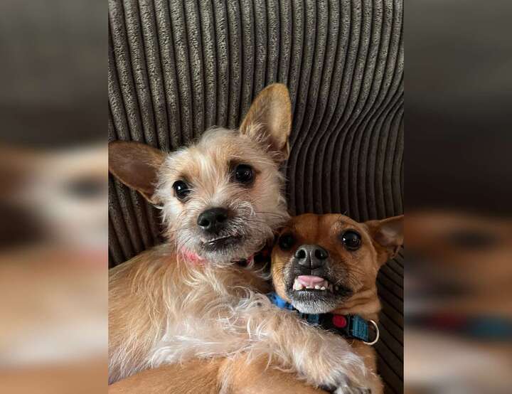 Honolulu, Hawaii, United States