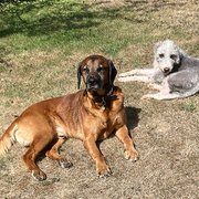 Brill, South East England, UK