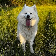 Forest Row, South East England, UK