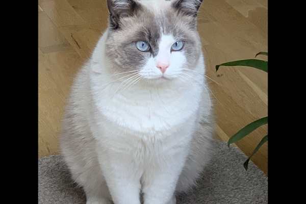 Hove, England, United Kingdom