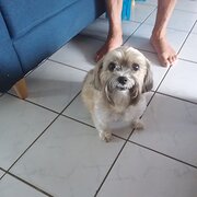 Parrearra, Queensland, Australia