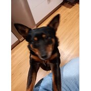 Kincumber, New South Wales, Australia