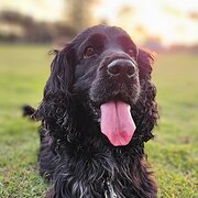 Coogee, New South Wales, Australia