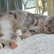 Varsity Lakes, Gold Coast, Queensland, Australia