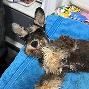 Beecher, Queensland, Australia