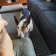 Trinity Park, Queensland, Australia