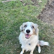 Dundowran Beach, Queensland, Australia