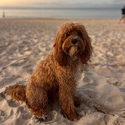 Robina, Queensland, Australia