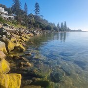 Woody Point, Queensland, Australia