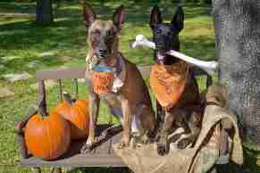 Downtown, Eatonville, Pierce, Washington United States