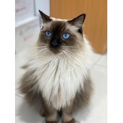 Darwin, Northern Territory, Australia