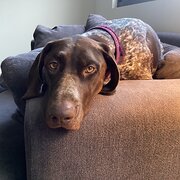 South Brighton, South Australia, Australia