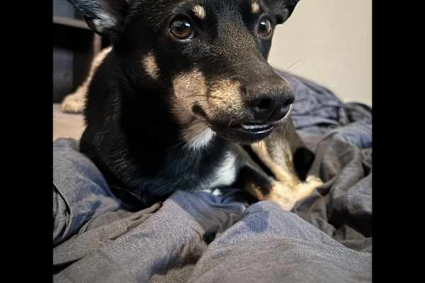 Paris, Ile-de-France, France