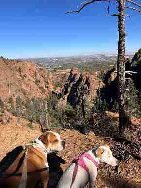 North East, Colorado Springs, CO, Colorado United States