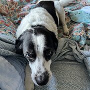 Northern Heights, South Australia, Australia