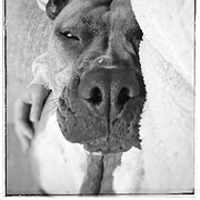 Port Noarlunga South, South Australia, Australia