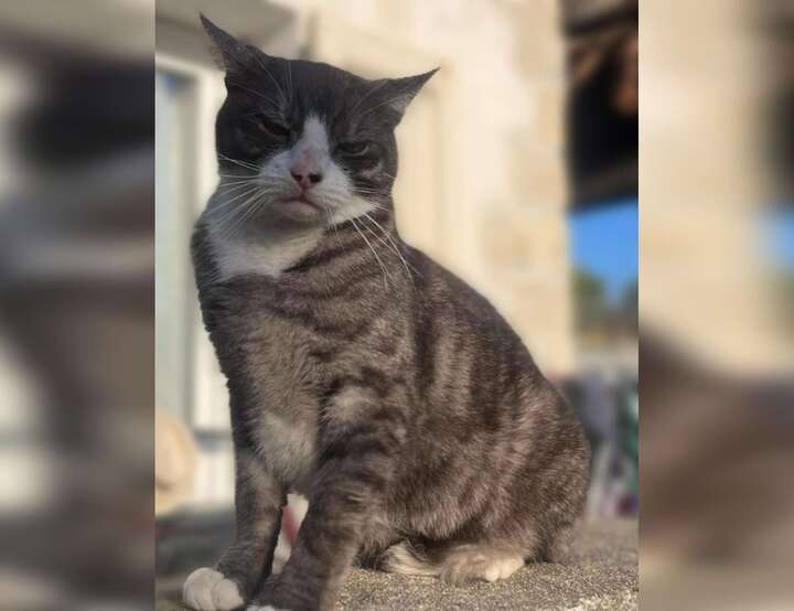 Antibes, Provence-Alpes-Côte d'Azur, France