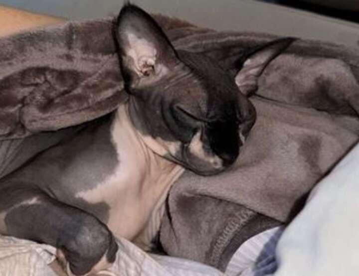 Pavullo Nel Frignano, Emilia-Romagna, Italy